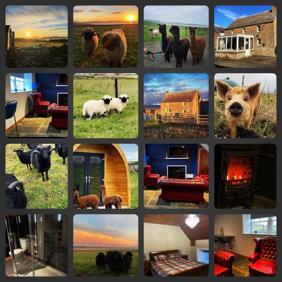 Orkney Farm Bothy Stromness Exterior foto